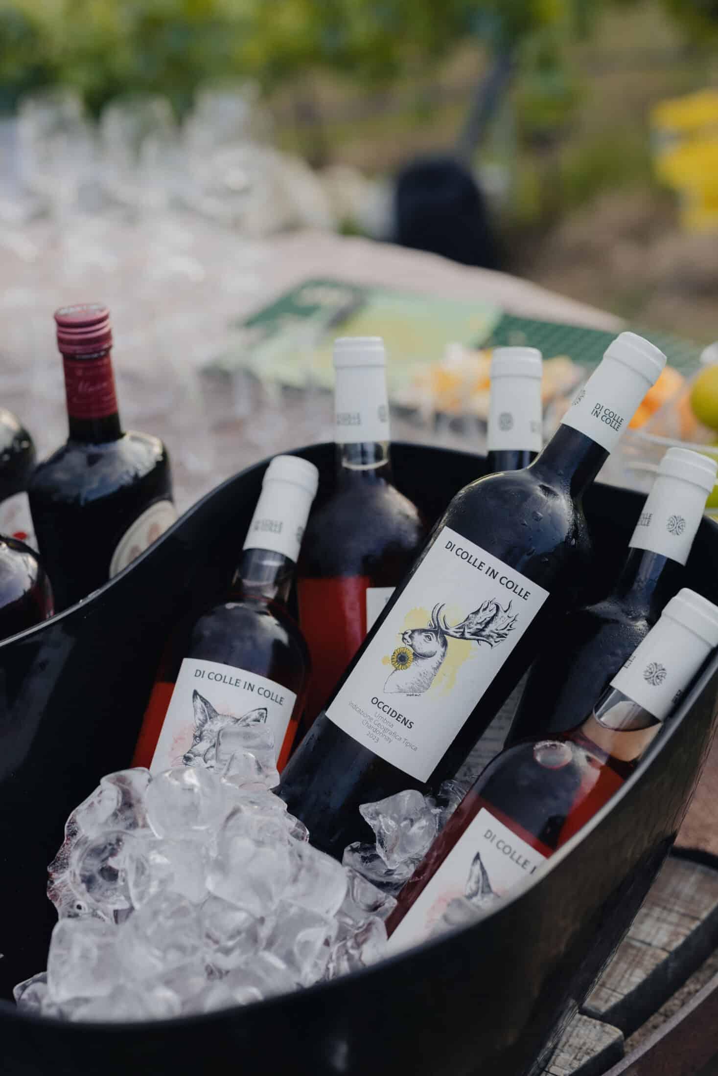 Sabastian + Kelsey | Welcome dinner